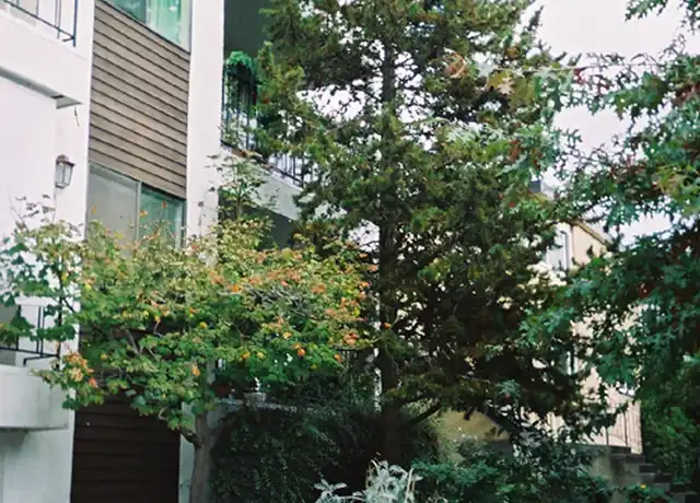 Property at 1530 NW 52nd St, Seattle, WA, 98107, 2 beds, 2 baths, [object Object]