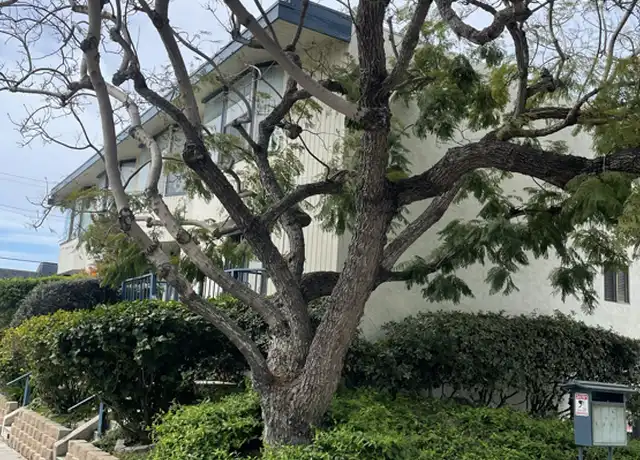 Property at 1412 Graham St, San Diego, CA, 92109, 3 beds, 3 baths, [object Object]