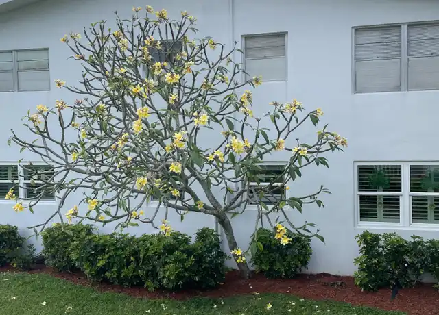 Property at 352 Markham P, Deerfield Beach, FL, 33442, 2 beds, 1.5 baths, [object Object]
