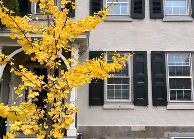 Property at 40 E Court St Unit LL Rear, Doylestown, PA, 18901, 1 bed, 1 bath, [object Object]