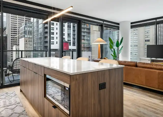 Property at 228 E Grand Ave, Chicago, IL, 60611, 2 beds, 2 baths, [object Object]