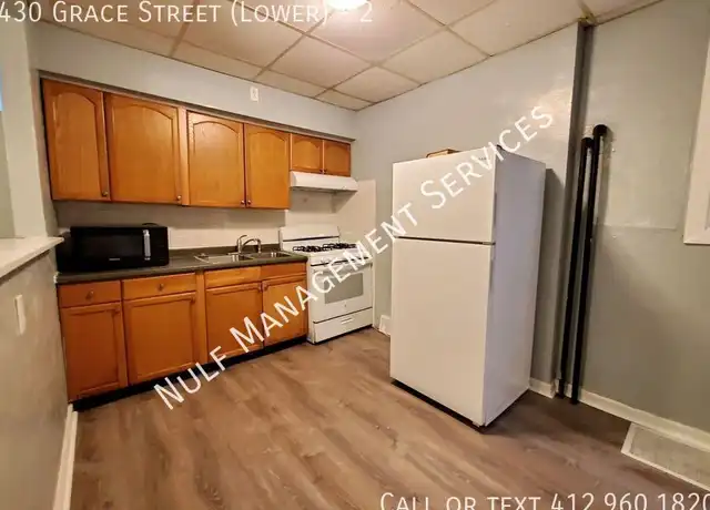 Property at 430 Grace St #2, Pittsburgh, PA, 15211, 1 bed, 1 bath, [object Object]