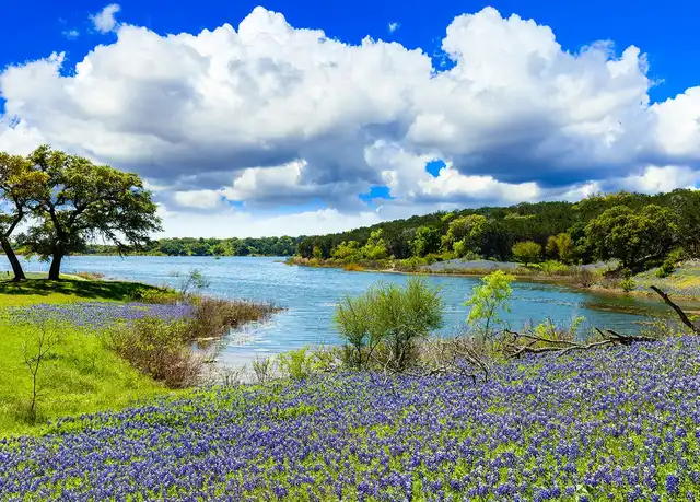 Property at 242 Chitalpa St Unit A3-56, Leander, TX, 78641, 1 bed, 1 bath, [object Object]