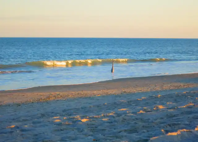 Property at 3150 N Atlantic Ave Unit 770, Cocoa Beach, FL, 32931, 2 beds, 1 bath, [object Object]