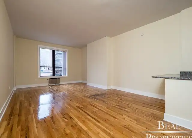Property at 1425 N Dearborn St Unit A1, Chicago, IL, 60610, 1 bed, 1 bath, [object Object]