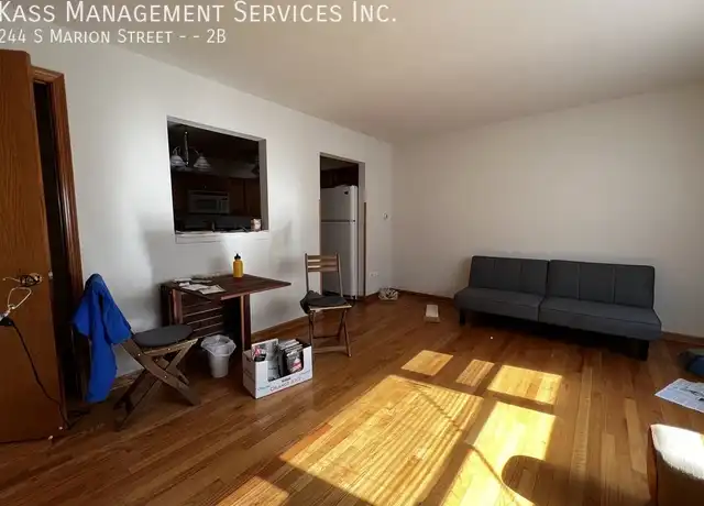 Property at 244 S Marion St Unit 2B, Oak Park, IL, 60302, 1 bed, 1 bath, [object Object]