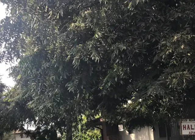 Property at 1026 W Huntington Dr, Arcadia, CA, 91007, 1 bed, 1 bath, [object Object]