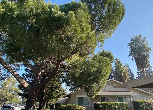 Property at Riverbelle Park - 6780 Gloria Dr, Sacramento, CA, 95831, 2 beds, 1.5 baths, [object Object]