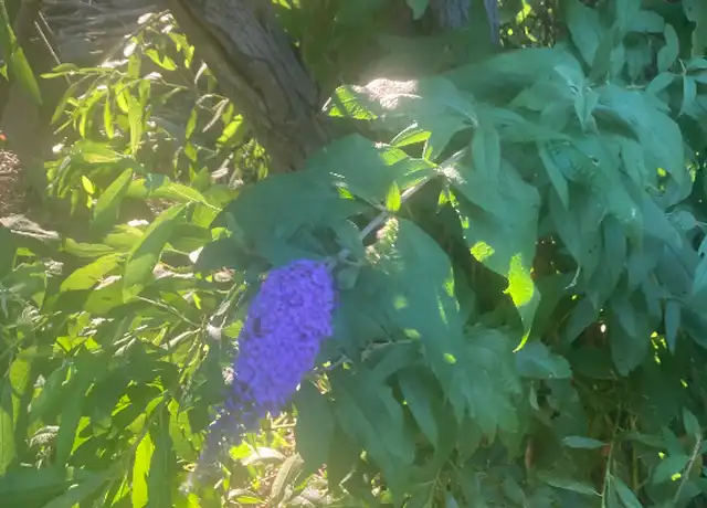 Property at 2350 Osbun Rd, San Bernardino, CA, 92404, 1 bed, 1 bath, [object Object]
