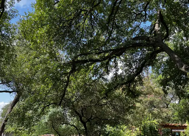 Property at 2605 W 49th St, Austin, TX, 78731, 3 beds, 2 baths, [object Object]