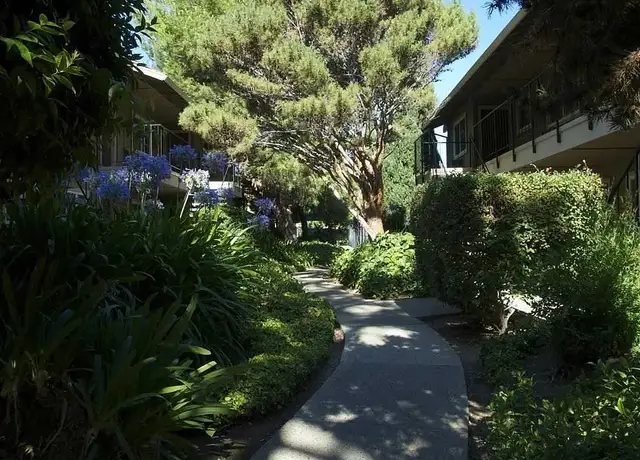 Photo of 3507 S Bascom Ave, Campbell, CA 95008