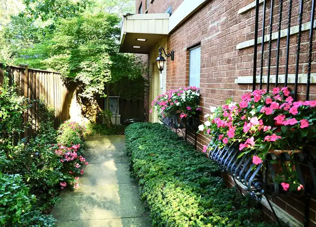 Property at 509 Sherman Ave, Evanston, IL, 60202, 1 bed, 1 bath, [object Object]
