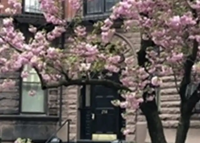 Property at 258 Marlborough St Unit 2R, Boston, MA, 02116, 1 bed, 1 bath, [object Object]