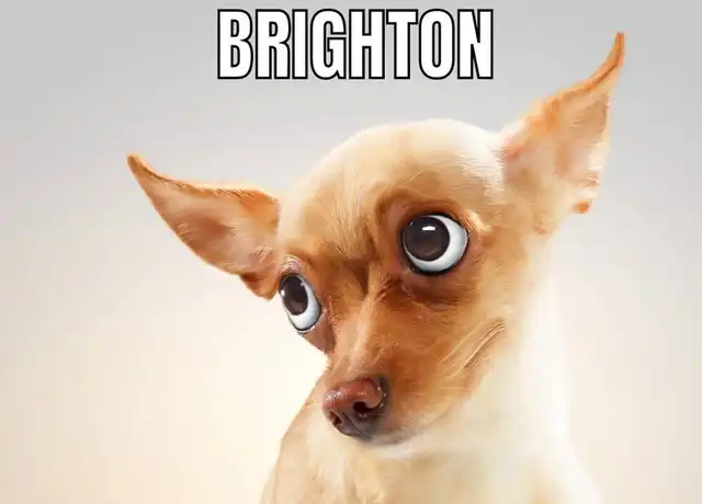 Property at 1229 Brighton Ave Unit 112, Modesto, CA, 95355, 1 bed, 1 bath, [object Object]
