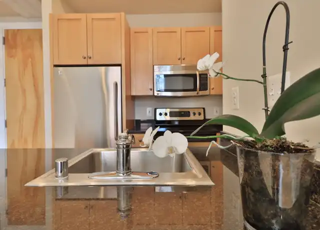 Property at 1515 O St NW Unit 407, Washington, DC, 20005, 1 bed, 1 bath, [object Object]