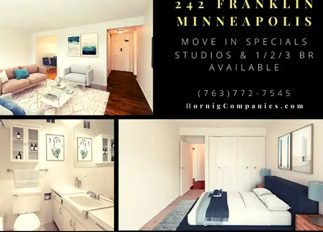 Property at 242 West Franklin Ave - 242 W Franklin Ave, Minneapolis, MN, 55404, 1 bed, 1 bath, [object Object]
