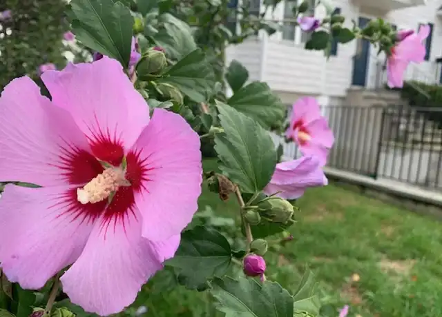 Property at 9 Nursery Ln Unit 2, Rye, NY, 10580, 2 beds, 1 bath, [object Object]