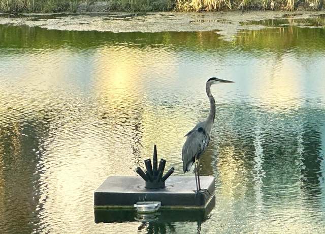 Photo of 26330 Coco Cay Cir Unit 202, Bonita Springs, FL 34135