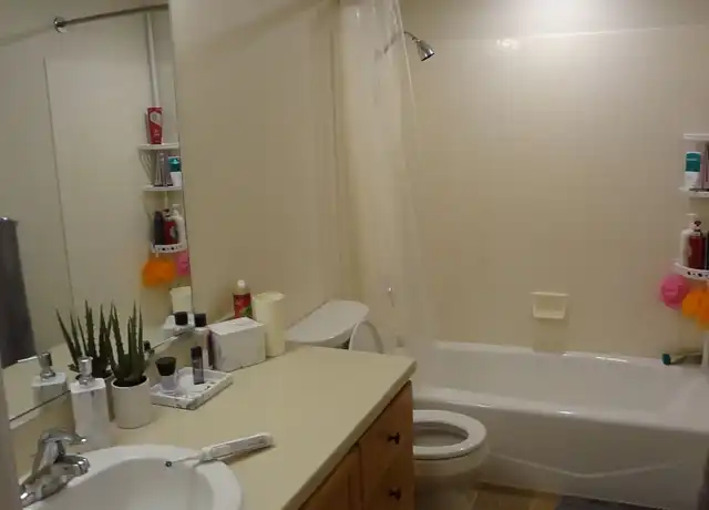 Property at 680 N 500 W Unit 680 206, Provo, UT, 84601, 1 bed, 1 bath, [object Object]