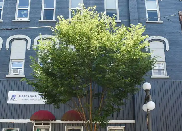 Property at 201 E Main St #02, Lock Haven, PA, 17745, 1 bed, 1 bath, [object Object]