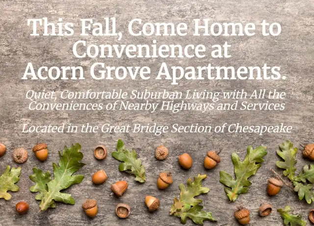 Property at 420 Acorn Grove Ln Unit 425DS8, Chesapeake, VA, 23320, 2 beds, 1 bath, [object Object]