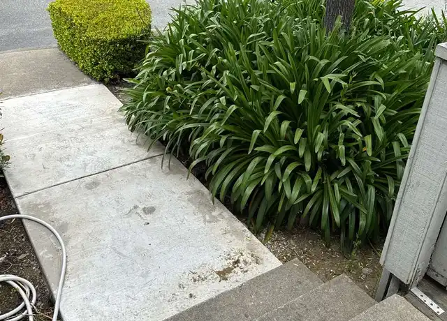 Property at 1021 Polk St #29, Salinas, CA, 93906, 2 beds, 1 bath, [object Object]