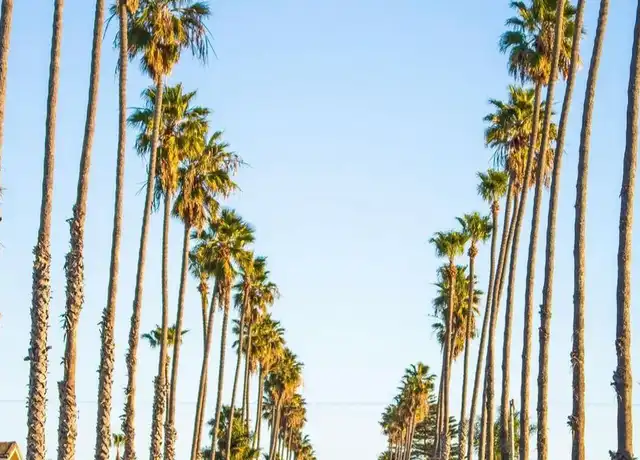 Property at 3675 Barnard Dr, Oceanside, CA, 92056, 1-2 bed, 1-2 bath, [object Object]