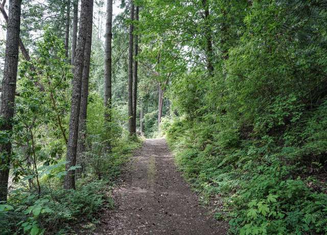 Photo of 18420 Rampart Ct SE, Yelm, WA 98597