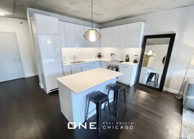 Property at 232 W Illinois St Unit 2, Chicago, IL, 60654, 1 bed, 1 bath, [object Object]