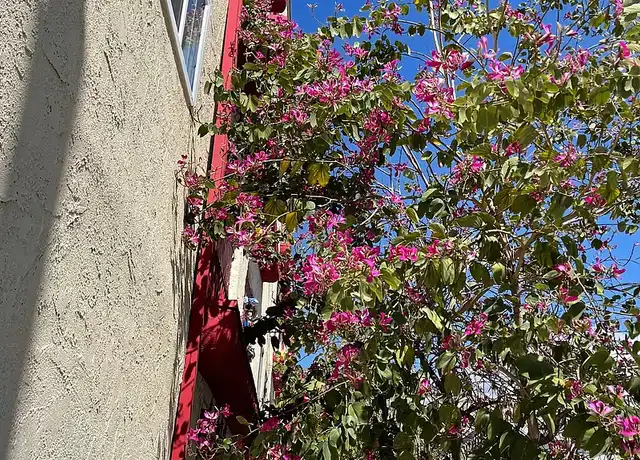 Property at 2600 W 8th St, Los Angeles, CA, 90057, 0 beds, 1 bath, [object Object]