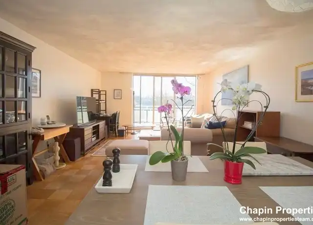 Property at 41 Park St #410, Brookline, MA, 02446, 1 bed, 1 bath, [object Object]