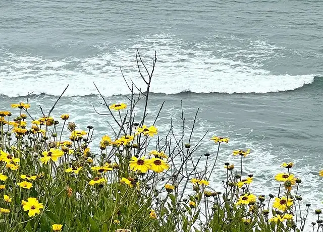 Photo of 201 4th St, Del Mar, CA 92014