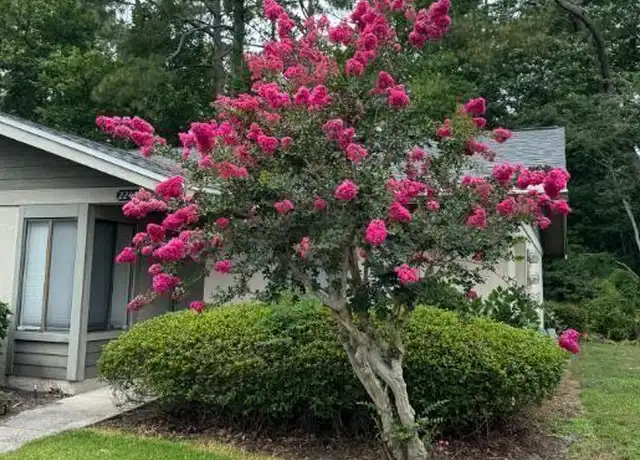 Property at 7620 Baymeadows Cir W #2246, Jacksonville, FL, 32256, 2 beds, 2 baths, [object Object]