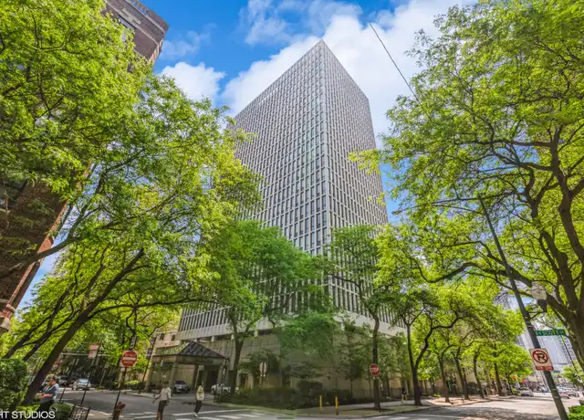 Property at 1 E Scott St #711, Chicago, IL, 60610, 0 beds, 1 bath, [object Object]
