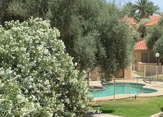 Property at 9711 E Mountain View Rd Unit 2533, Scottsdale, AZ, 85258, 1 bed, 1 bath, [object Object]