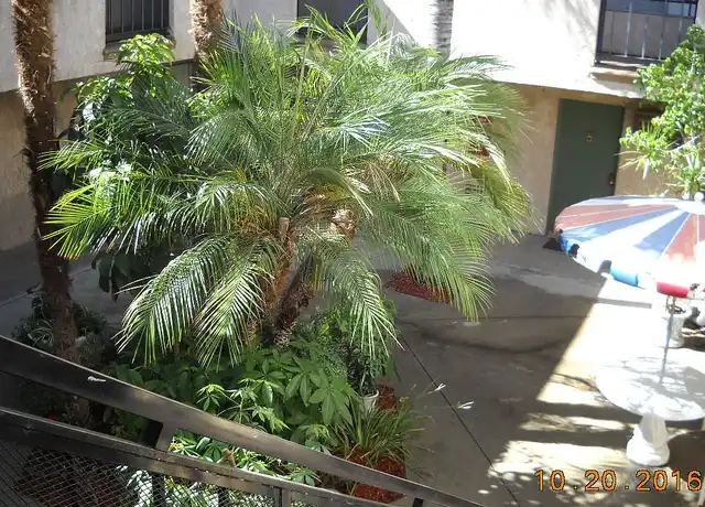 Property at Tarzana Apartments - 18569 Burbank Blvd, Tarzana, CA, 91356, 0 beds, 1 bath, [object Object]