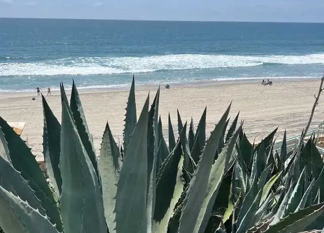 Property at Sea Chase (Acacia Avenue) - 252 Acacia Ave, Carlsbad, CA, 92008, 2 beds, 1 bath, [object Object]
