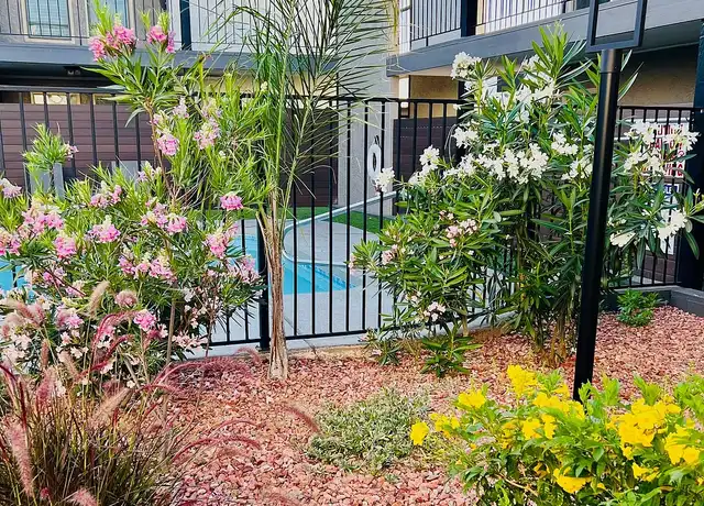 Property at Arcadia Flats - 3101 N 36th St, Phoenix, AZ, 85018, 2 beds, 2 baths, [object Object]