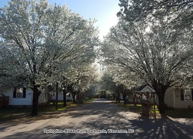 Property at 103 Deer Run Dr Unit 106-104, Warrenton, NC, 27589, 2 beds, 1 bath, [object Object]