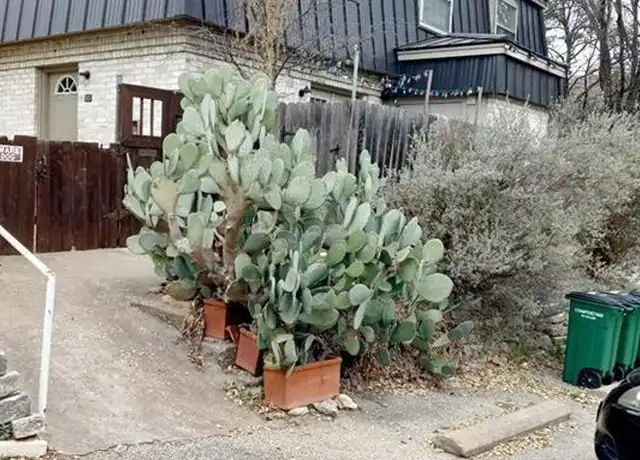 Property at 2800 Westhill Dr Unit 102, Austin, TX, 78704, 1 bed, 1.5 baths, [object Object]