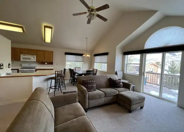 Property at 320 Black Hawk Cir, Silverthorne, CO, 80498, 3 beds, 4 baths, [object Object]