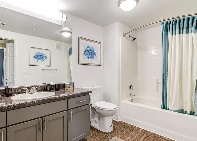 Photo of 16 Rio Lerma, RANCHO DEL ORO, OC