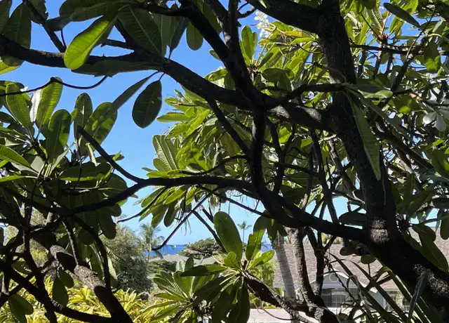 Property at 160 Keonekai Rd, Kihei, HI, 96753, 2 beds, 2 baths, [object Object]