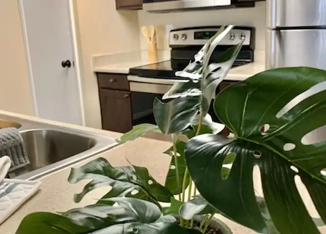 Property at 1750 E Bell Rd Unit 210, Phoenix, AZ, 85022, 1 bed, 1 bath, [object Object]