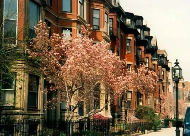 Property at 438 Marlborough St Unit 3, Boston, MA, 02115, 3 beds, 1 bath, [object Object]