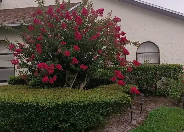 Property at 9135 Lingrove Rd, Weeki Wachee, FL, 34613, 3 beds, 2 baths, [object Object]