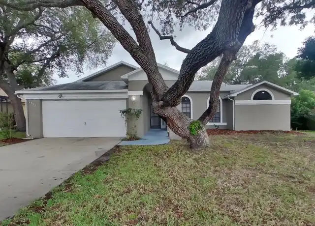 Property at 7352 Cone Shell Dr, Spring Hill, FL, 34607, 3 beds, 2 baths, [object Object]