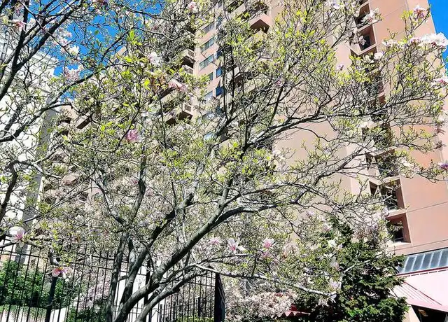 Property at 1301 N Courthouse Rd #902, Arlington, VA, 22201, 1 bed, 1.5 baths, [object Object]