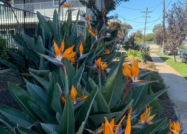Property at 8501 Glenhaven St, San Diego, CA, 92123, 2 beds, 1 bath, [object Object]