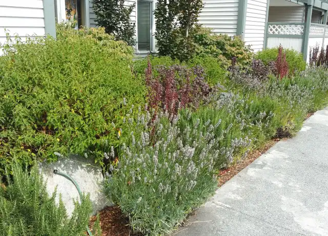 Property at 15 Malcolm St Unit 103, Friday Harbor, WA, 98250, 1 bed, 1 bath, [object Object]